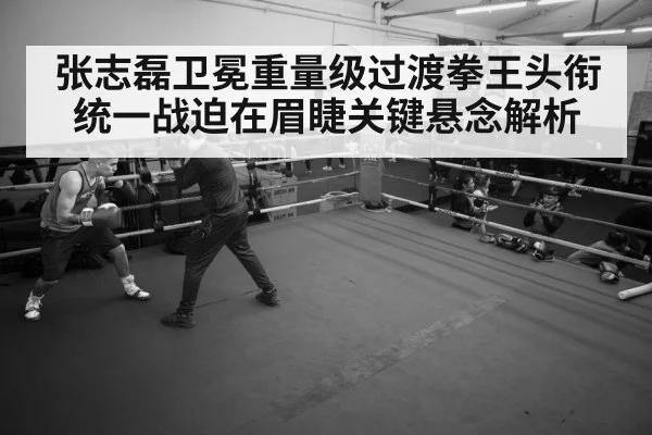 张志磊卫冕重量级过渡拳王头衔统一战迫在眉睫关键悬念解析